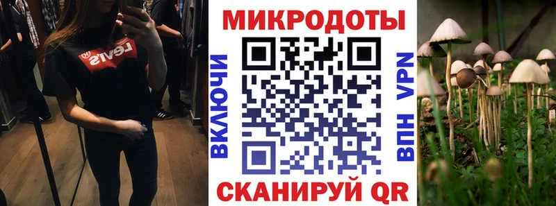 Псилоцибиновые грибы Psilocybe  где продают   Жердевка 